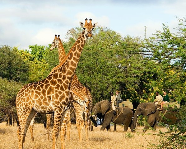 Jabulani thumbnail 3